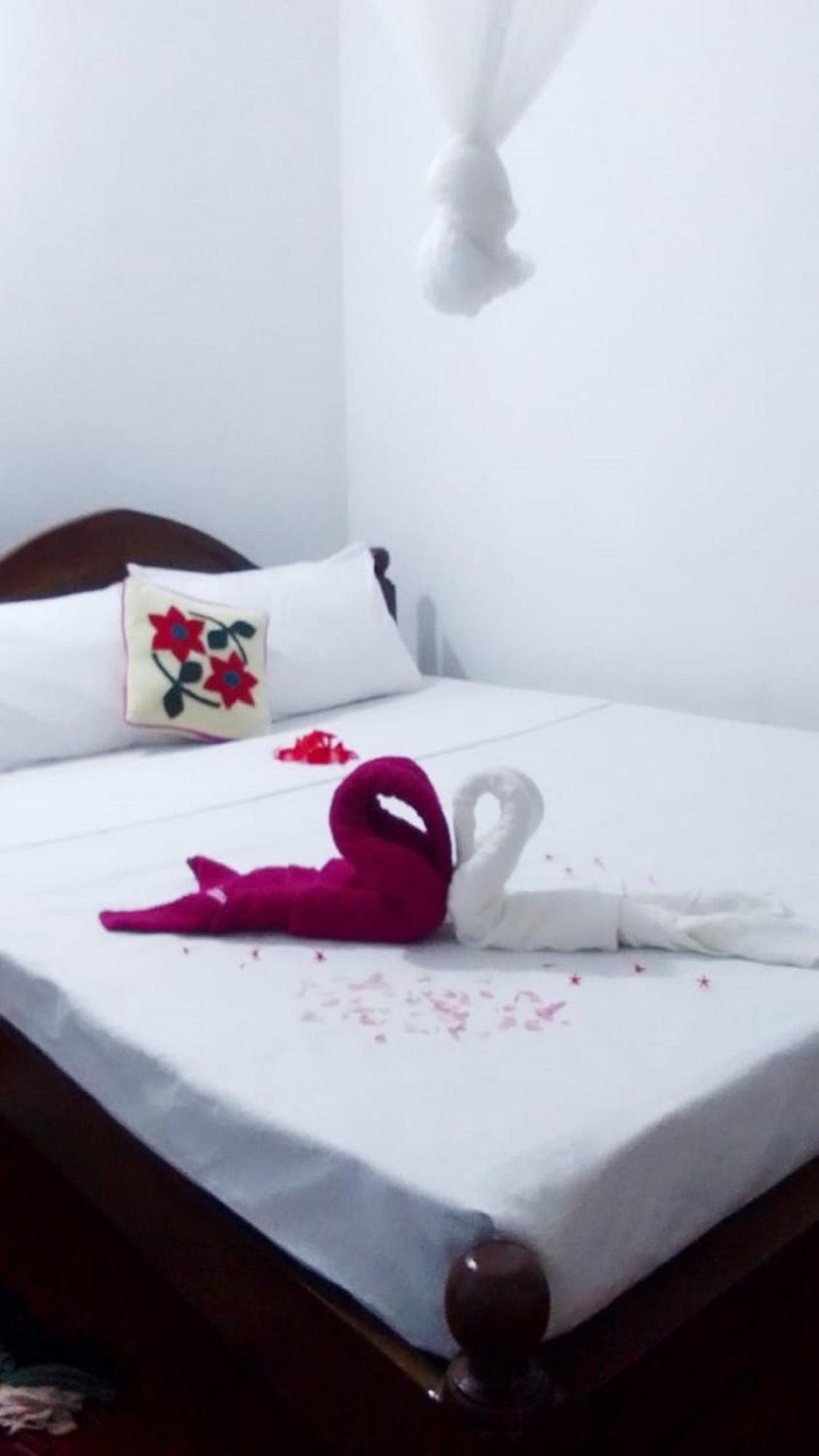Winstar Homestay シギリヤ エクステリア 写真